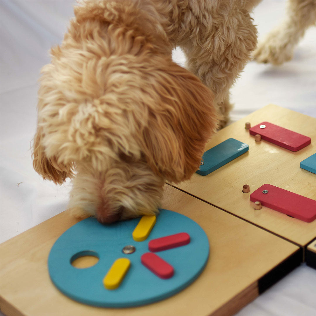 Double Trouble Pet Puzzles - Spin the wheel + Nudge it