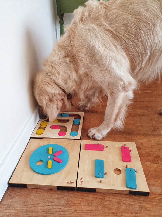 Why Should I Buy a Pet Puzzle? Buying Mentally Stimulating Toys for Your Dog's Development