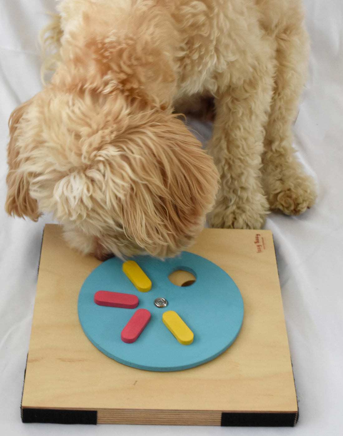 Discover Premium Handcrafted Pet Puzzles for Ultimate Dog Stimulation