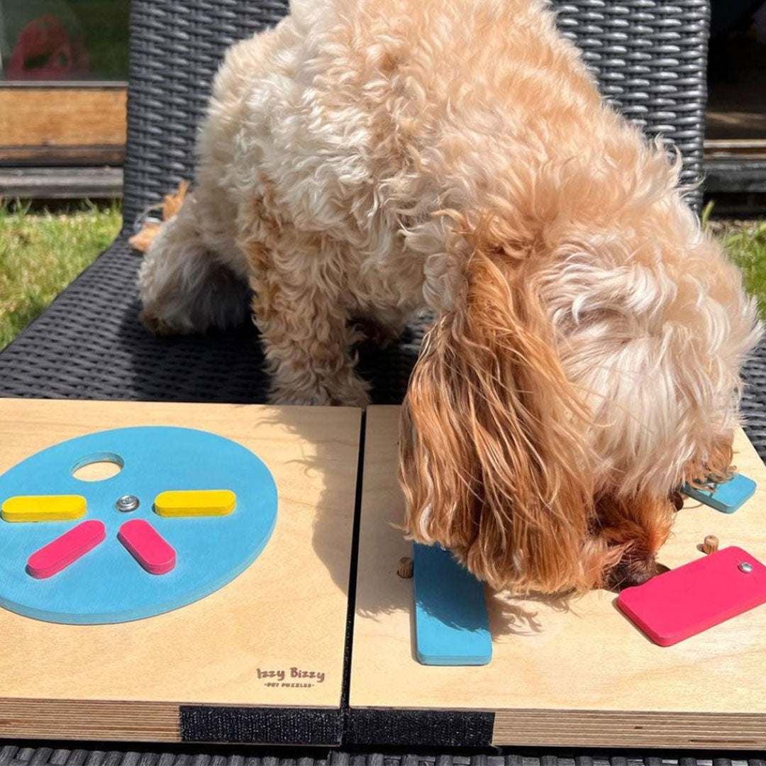 Double Trouble Pet Puzzles - Spin the wheel + Nudge it