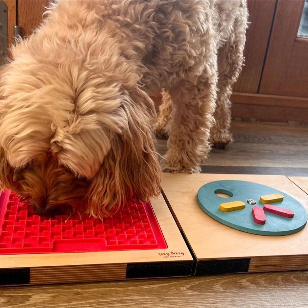 Double Puzzle - Spin The Wheel + Licking Buddy